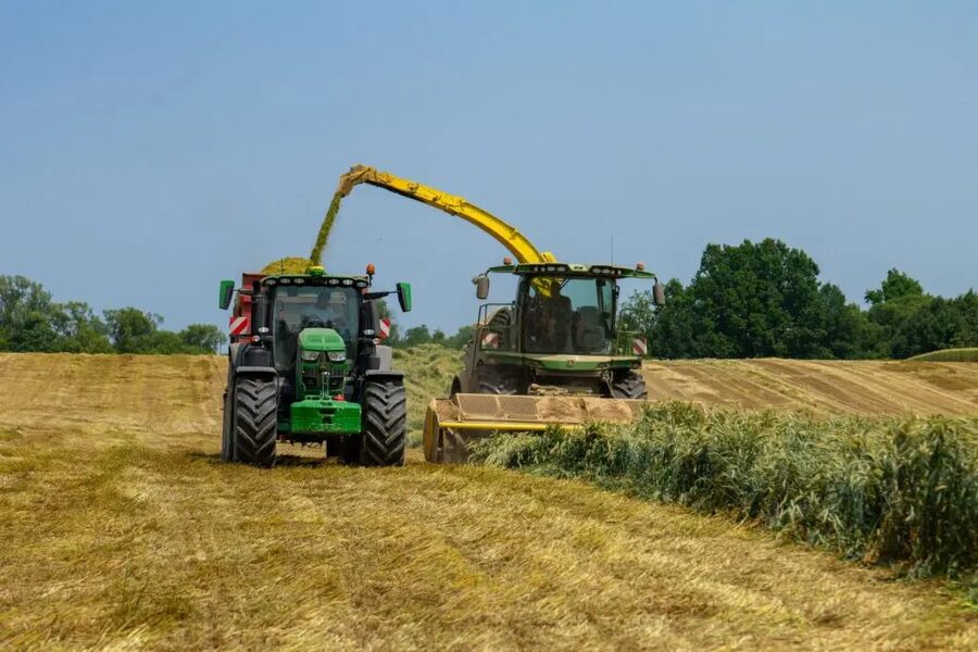 boeren